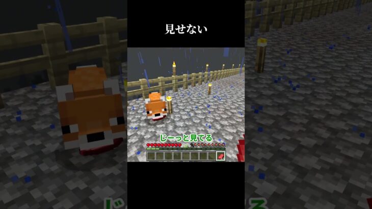 森の洋館ゲット計画 製図家をさがせ #マイクラ #マインクラフト#minecraft #minecraftmultiplayer #minecraftmultiplayersurvival