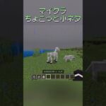 マイクラちょこっと小ネタと謎#マイクラ #マインクラフト #ショート #minecraft #minecraftshorts #shorts