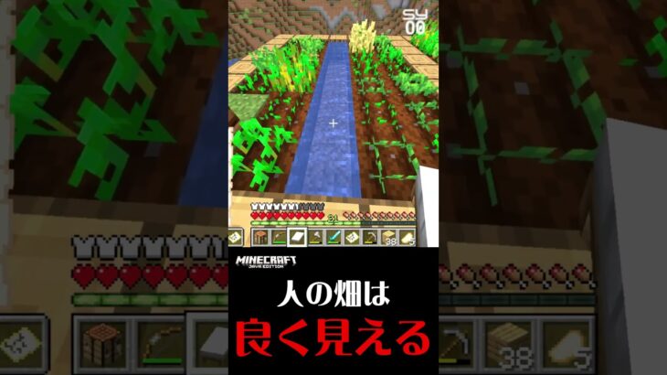 マイクラ生活 【人の畑はよく見える】 #shorts #マイクラ #マインクラフト