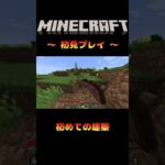 【マインクラフト】初めての建築 #shorts #マイクラ #ナイラ #ゲーム配信 #ゲーム実況 #ヘタクソ注意 #ハード