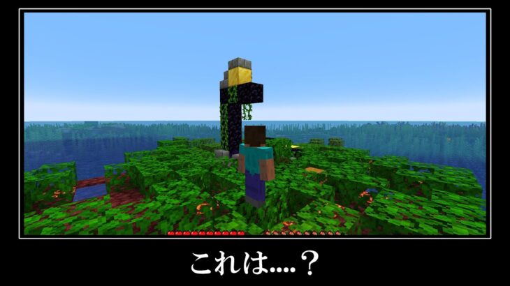 【衝撃】この廃ポータルどうなってる？マイクラの超激レアなシード値５選