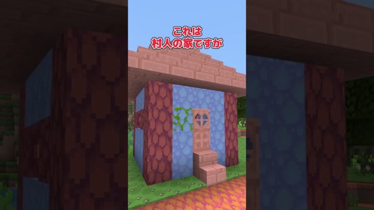 【テクスチャ紹介】”リアル”もいいけど”かわいさ”も！【統合版マイクラ】