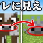 絶対アレにしか見えないマインクラフト【まいくら・マインクラフト】