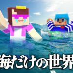 海だけの世界でおかんと生き残る！【まいくら / マインクラフト】