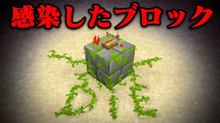ブロックのマイクラ都市伝説を検証してみた【まいくら・マインクラフト】