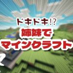 【マイクラ】家完成させたいね【のんびり】