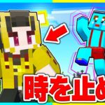 時間を止めてけなたろうをボコボコにしまくるwww 【まいくら / マインクラフト】