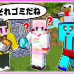 🌈1年経ってもマイクラ初心者なぴぴちゃんに嘘教えまくってみた 【まいくら / マインクラフト】