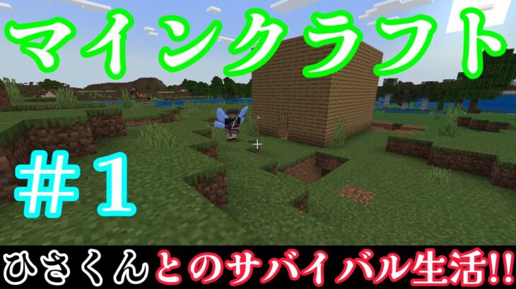 #1【マインクラフト】 【サバイバル生活】 まず初めは家づくりから！