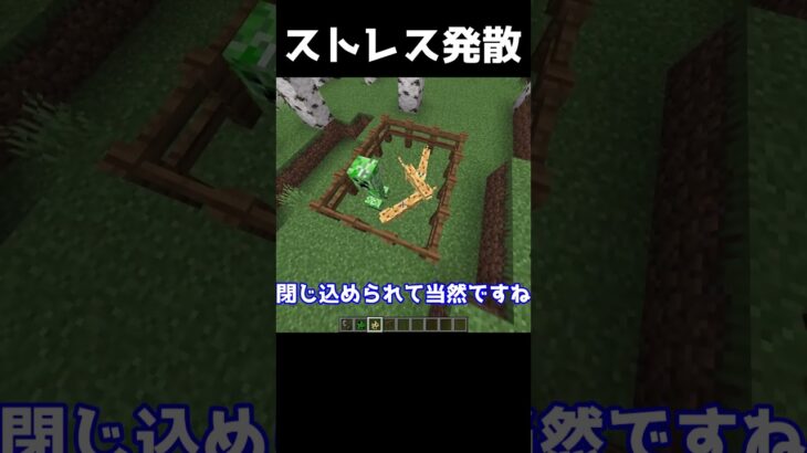 【マイクラ】1回はやるマイクラのストレス発散方法！ #マインクラフト #マイクラ #ゆっくり #minecraft #ゆっくり解説