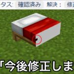 【マイクラ】今後修正されない要素が不満すぎる.. ～何故か改善されない欠陥要素・謎仕様11選～【マインクラフト】【まいくら】【雑学】【統合版】【豆知識】