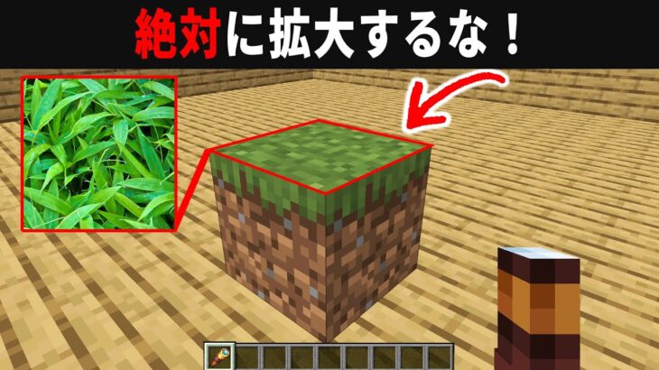 【海外検証】謎が多すぎるマインクラフト12選【ゆっくり実況】【マイクラ】