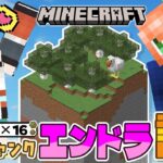 ꒰ マイクラ꒱　ワンチャンクチャレンジ！16×16だけの世界でエンドラ討伐j～？ #ぽんぴりか ˹ 本間ひまわり/五十嵐梨花 にじさんじ ˼