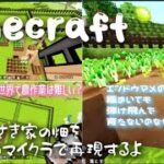 ちょっとだけ（1時間位）配信！続：にゃがさき家の畑作るよ！#マイクラ#Minecraft#マインクラフト#マインクラフトライブ配信