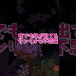 夢のコラボ実現！マインクラフトでサンリオの世界をキティちゃんと一緒に冒険しよう2！#いるクラ #マイクラ #shorts