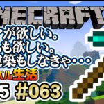 ピグリン要塞攻略！建築もするぞ？2025年03月28日 #minecraft