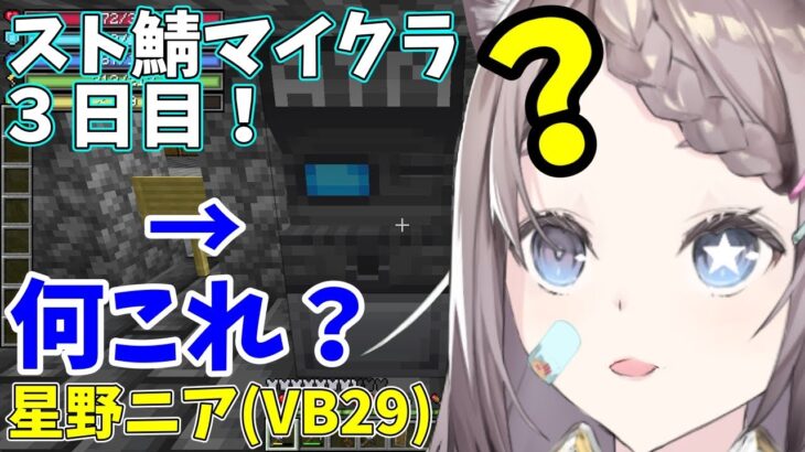 #3 【スト鯖マイクラ！】家に謎の物体が置いてある！【星野ニア(VB29)】