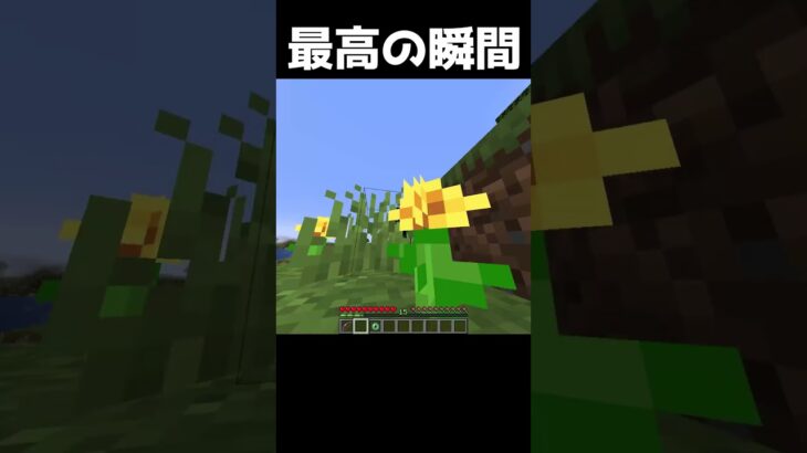 マイクラで気持ちよくなれる瞬間3選！ #マインクラフト #マイクラ #ゆっくり #minecraft #ゆっくり解説