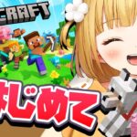 #4 はじめての「マイクラ」実況プレイ【Minecraft】