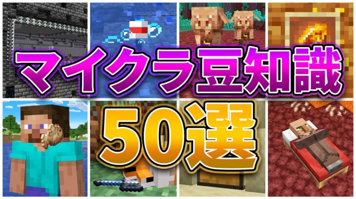 【マイクラ】トリビア・豆知識まとめ50選！【裏技・小技】