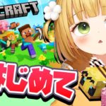 #6 はじめての「マイクラ」実況プレイ【Minecraft】