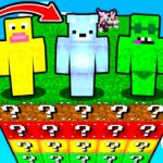 Can We Survive ONE LUCKY CHUNK in Minecraft?