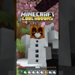 Cool Addons for Minecraft Bedrock Edition Pt. 10