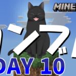 【マイクラ】ワンブロック ついに家完成だぁ✨DAY10【神代あおい】