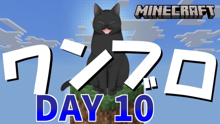 【マイクラ】ワンブロック ついに家完成だぁ✨DAY10【神代あおい】