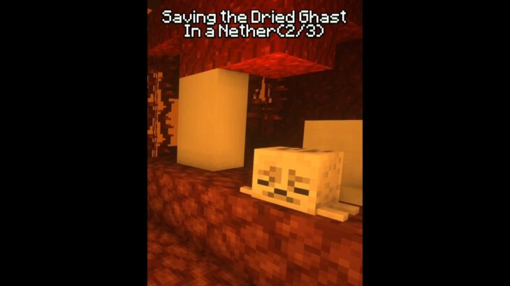 Freeing the Dried Ghast into Overworld! Ghastling Phase #minecraft #update #mojang #tiktok #trend
