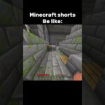 MINECRAFT SHORTS BE LIKE:-