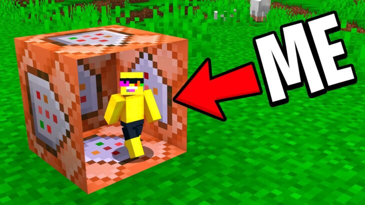 Minecraft Hiding INSIDE OF BLOCKS AND MOBS…