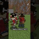 Minecraft History of Military Uniforms