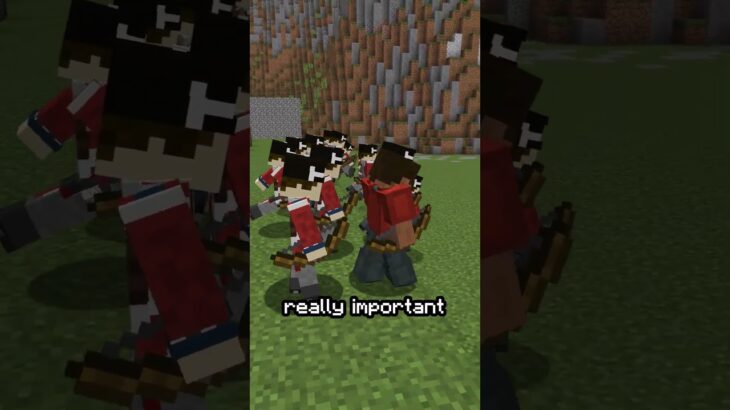 Minecraft History of Military Uniforms