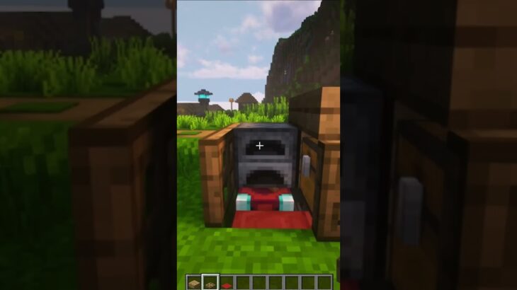 Minecraft Smallest House🏠 #minecraft #shorts