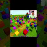 Minecraft Tnt Rainbow (Bumble Bee)