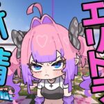 【Minecraft】一人でエリトラゲットできるもん！【#綺々羅々ヴィヴィ #hololiveDEV_IS #FLOWGLOW】