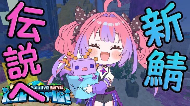 【Minecraft】伝説は受け継がれる【#綺々羅々ヴィヴィ #hololiveDEV_IS #FLOWGLOW】