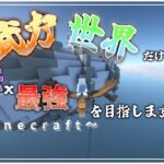 【Minecraft】#2 武力世界だけど、魔法最強を目指します。~非力魔法使い空を飛ぶ~