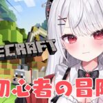 【Minecraft】超初心者がひとりで世界を冒険する！！！【#花宮莉歌/#新人Vtuber】