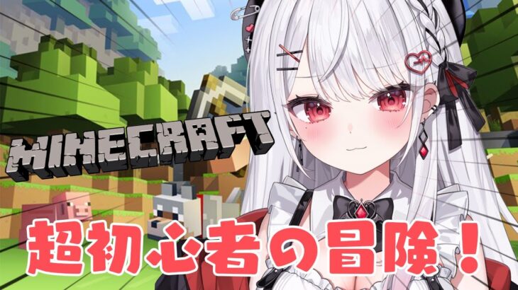 【Minecraft】超初心者がひとりで世界を冒険する！！！【#花宮莉歌/#新人Vtuber】