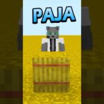 NO CONOCÍAS esto de la PAJA #minecraft