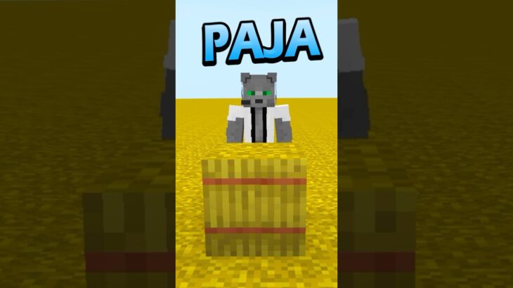 NO CONOCÍAS esto de la PAJA #minecraft