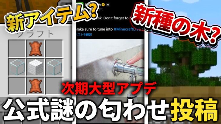 ？？【マイクラ】公式が夏の大型アプデの新要素を匂わせる投稿をたくさんしてます【PE/PS4/Switch/Xbox/Win10】ver1.21