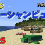 【マイクラ】豆んのマイクラ実況Part5~内装～
