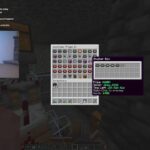 Starting from $0 with Carvs on Donut SMP