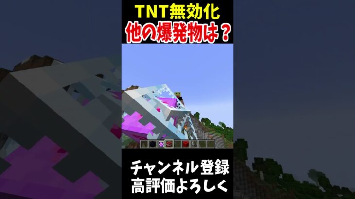 TNT以外の爆発物を無効化できるコマンドはあるの？!#マインクラフト #Minecraft #アップデート #裏技 #minecraftparkour #shorts