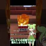 【マイクラ】TNTの爆発を無効化する方法 #shorts