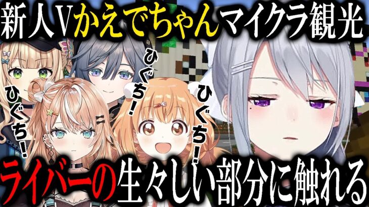 年季の入った観点を持つ新人Vかえでちゃん [にじ若手女子マイクラ/にじさんじ/切り抜き/樋口楓]
