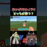 白ひげVSカイドウどっちが勝つ？ 【マインクラフト】【ワンピースMOD】